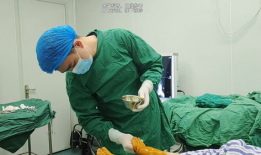 拇外翻手术过程视频,专业解析与康复指导