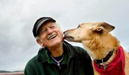 狗配人视频,温馨治愈的配对瞬间